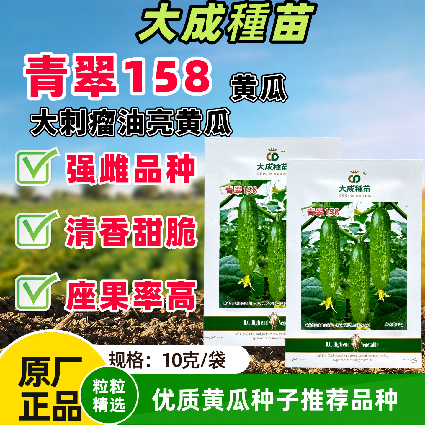 青翠158黄瓜种子强雌杂交旱黄瓜种高产无苦味耐高温高湿黄瓜种孑