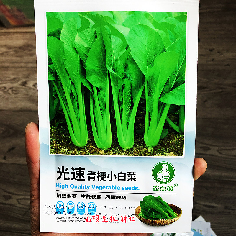 鸡毛菜种子青梗种籽四季小白菜青菜油菜上海青蔬菜菜籽孑大全籽种
