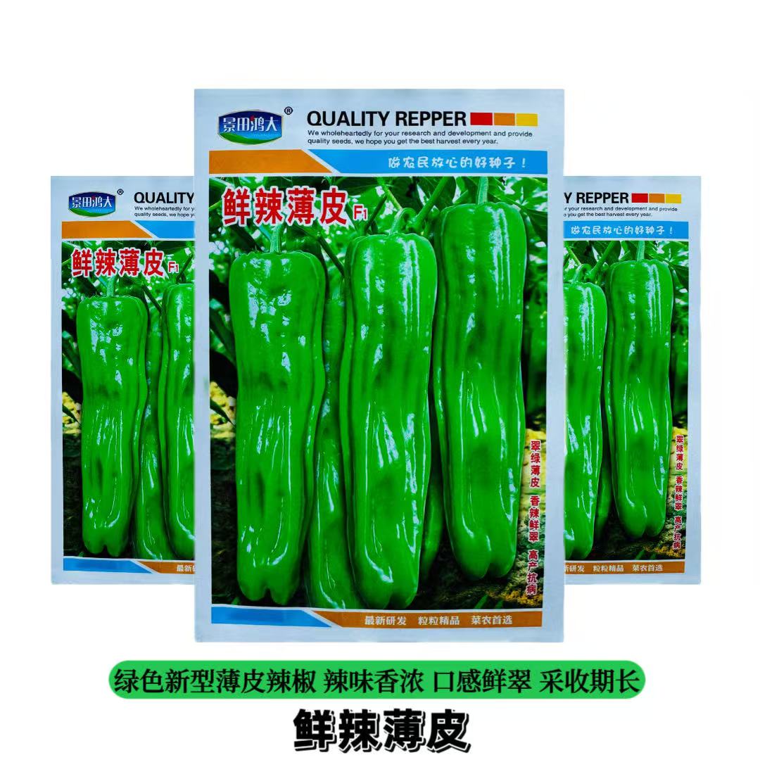 鲜辣薄皮辣椒种子薄皮薄肉鲜辣味浓鲜嫩多汁高产抗病基地大田用种