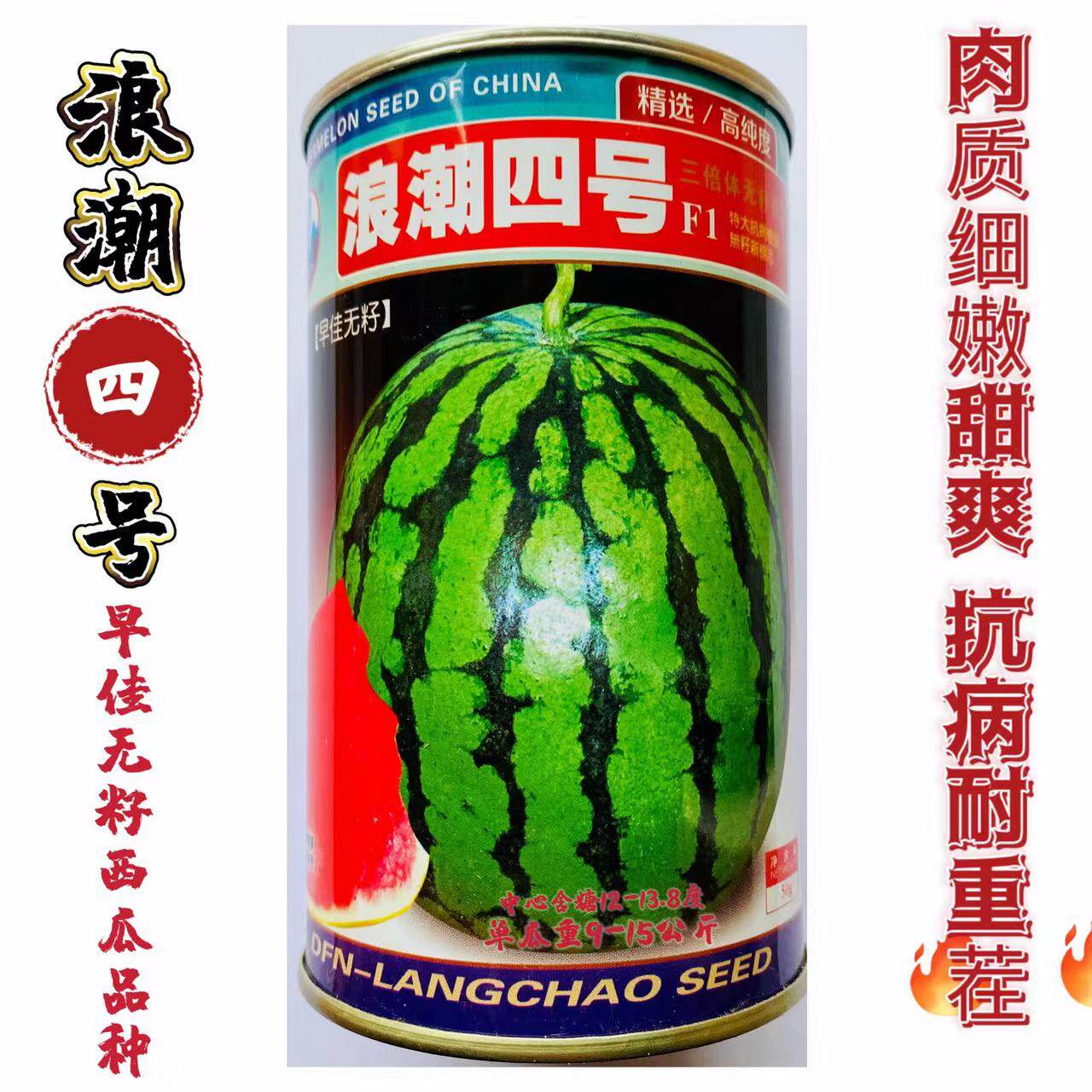 浪潮四号西瓜种子红瓤三倍体无籽西瓜种籽中熟花皮大果春季高产孑