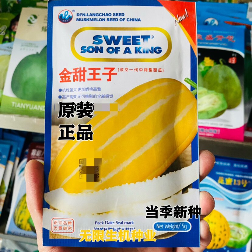 浪潮金甜王子甜瓜种子椭圆四季特甜薄皮黄皮香瓜种籽耐热高产正品