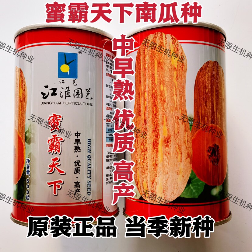 江淮园艺【蜜霸天下】南瓜种子果大早熟高产优质蜜本南瓜种籽春季
