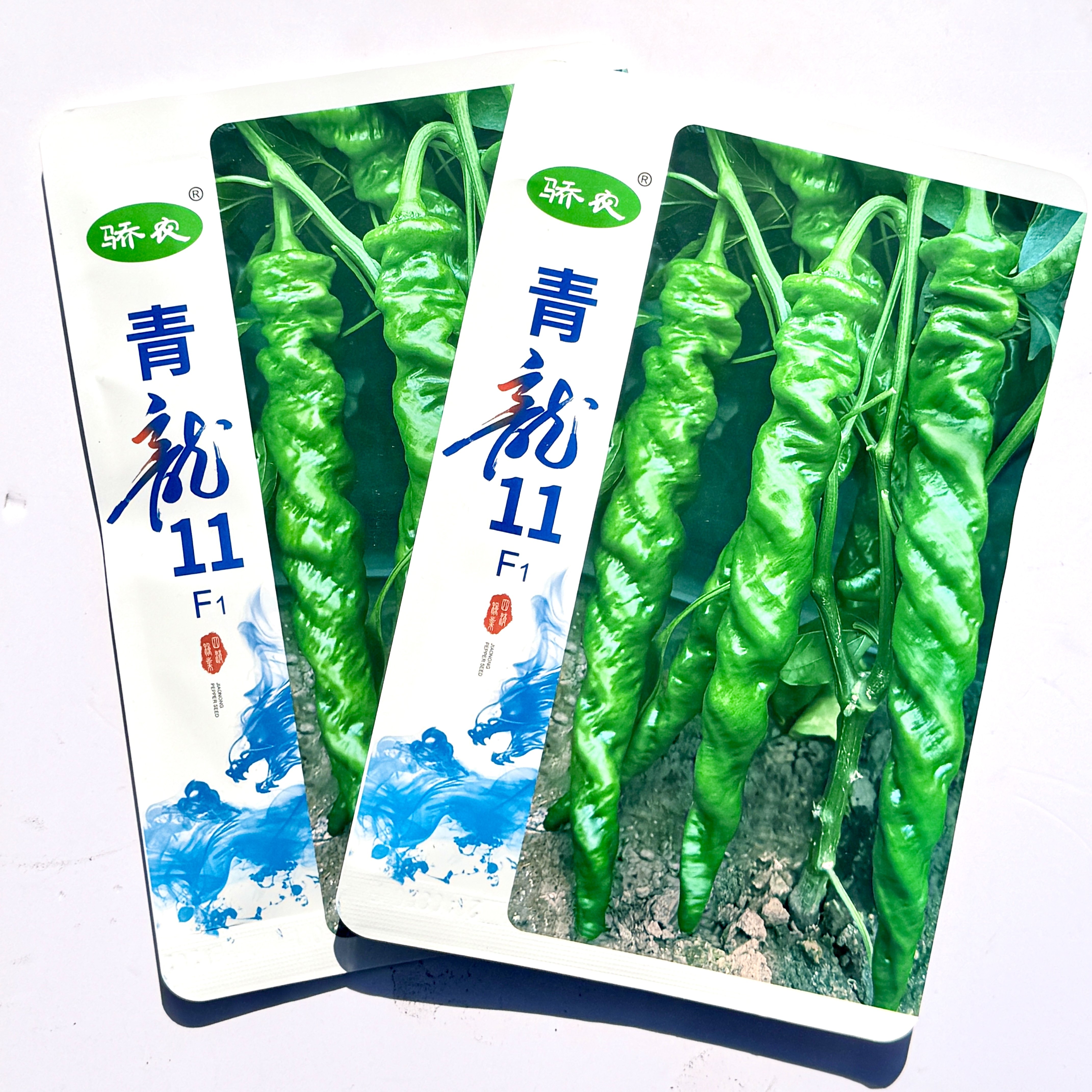 青龙11螺丝椒种籽大麻花全螺旋香辣螺丝辣椒种子春季秋季播大陇椒