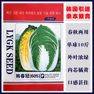 韩春冠605黄心春大白菜种子籽良种耐抽薹耐低温 春季秋季两用正品