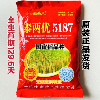 泰两优5187水稻种子长粒杂交稻种籽大穗高产稻谷种籽国审稻 正品
