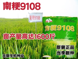 水稻种子南粳9108稻种籽优质高产圆粒水稻谷香米种子孑抗倒伏正品