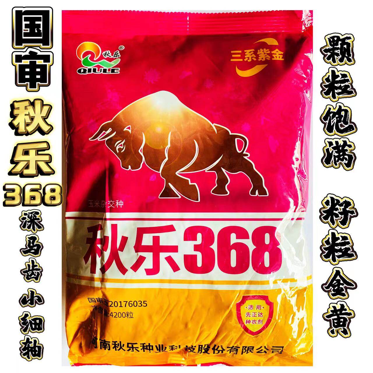 秋乐368 抗倒矮杆玉米高产玉米种子大田春夏播白轴杂交玉米种籽孑