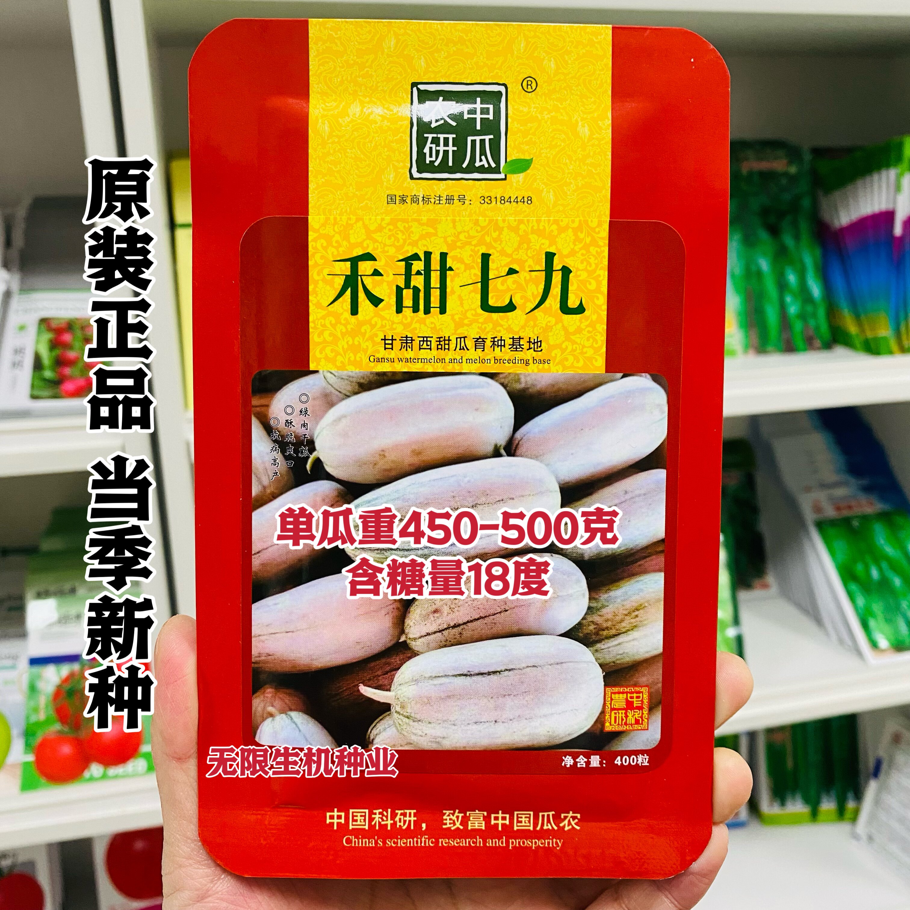 禾甜七九 羊角蜜甜瓜种子 薄皮香甜酥脆高产抗病香瓜种籽商品性佳