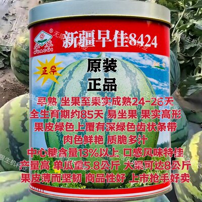 新疆麒麟早佳8424西瓜种子早熟大果超甜薄皮冰糖西瓜种籽孑包邮