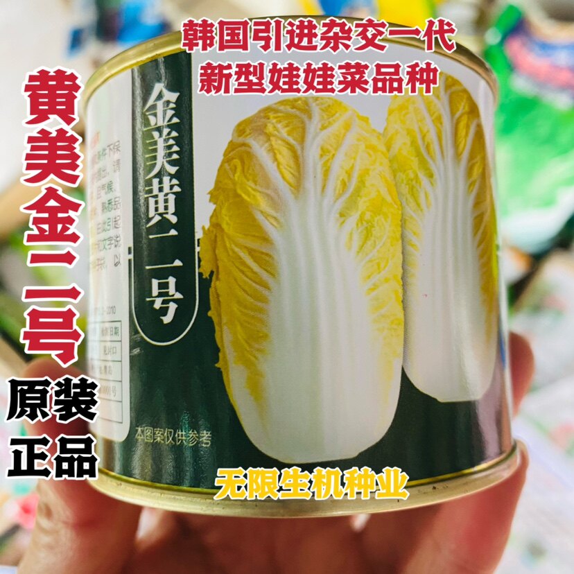 金美黄二号娃娃菜种子小白菜种籽高产黄心娃娃菜种孑小型黄白菜籽