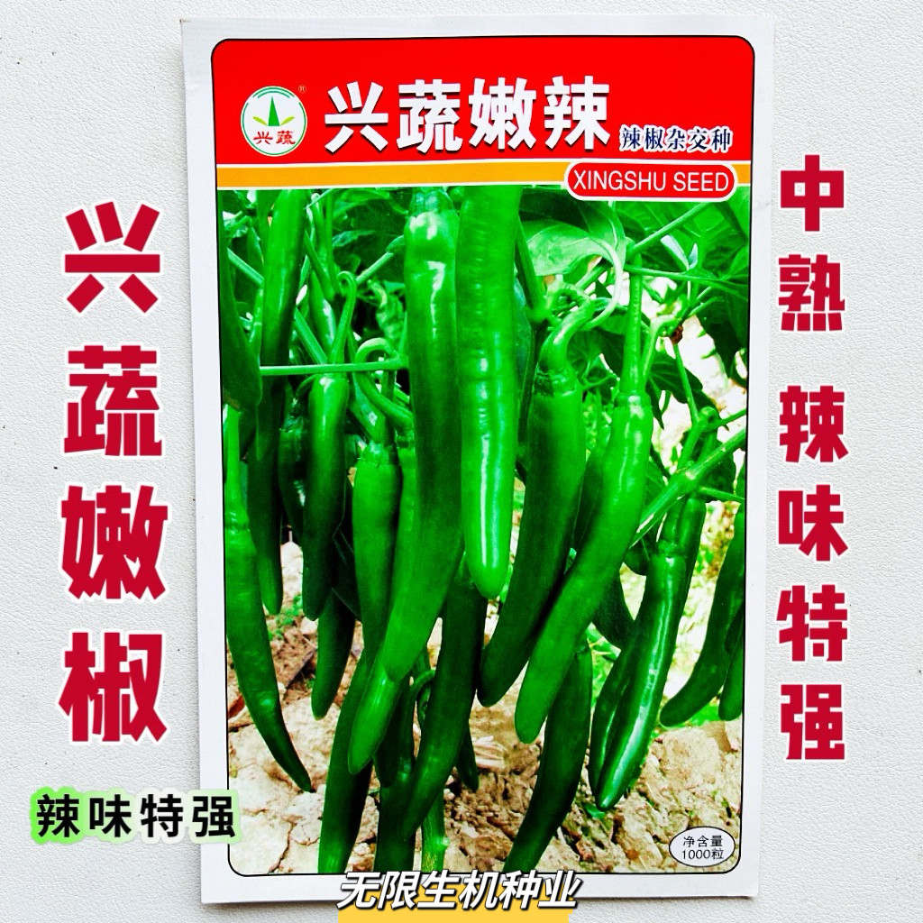 正品兴蔬嫩辣椒种子中熟羊角椒种籽抗病高产辣味强农家春秋季播种