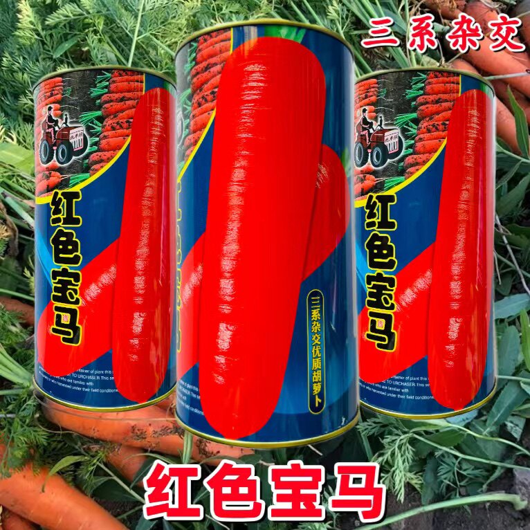 拖车头红色宝马胡萝卜种籽三系杂交进口品种红萝卜水果胡萝卜种子
