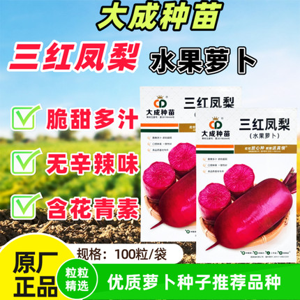 三红凤梨水果萝卜种子脆甜多汁无辣味含花青优质红皮红肉萝卜种籽