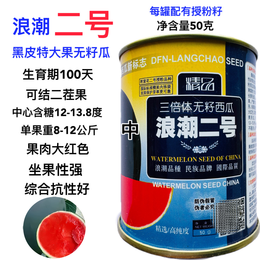 浪潮二号无籽西瓜种子纯黑皮大果实圆形果肉大红色甜脆多汁 正品