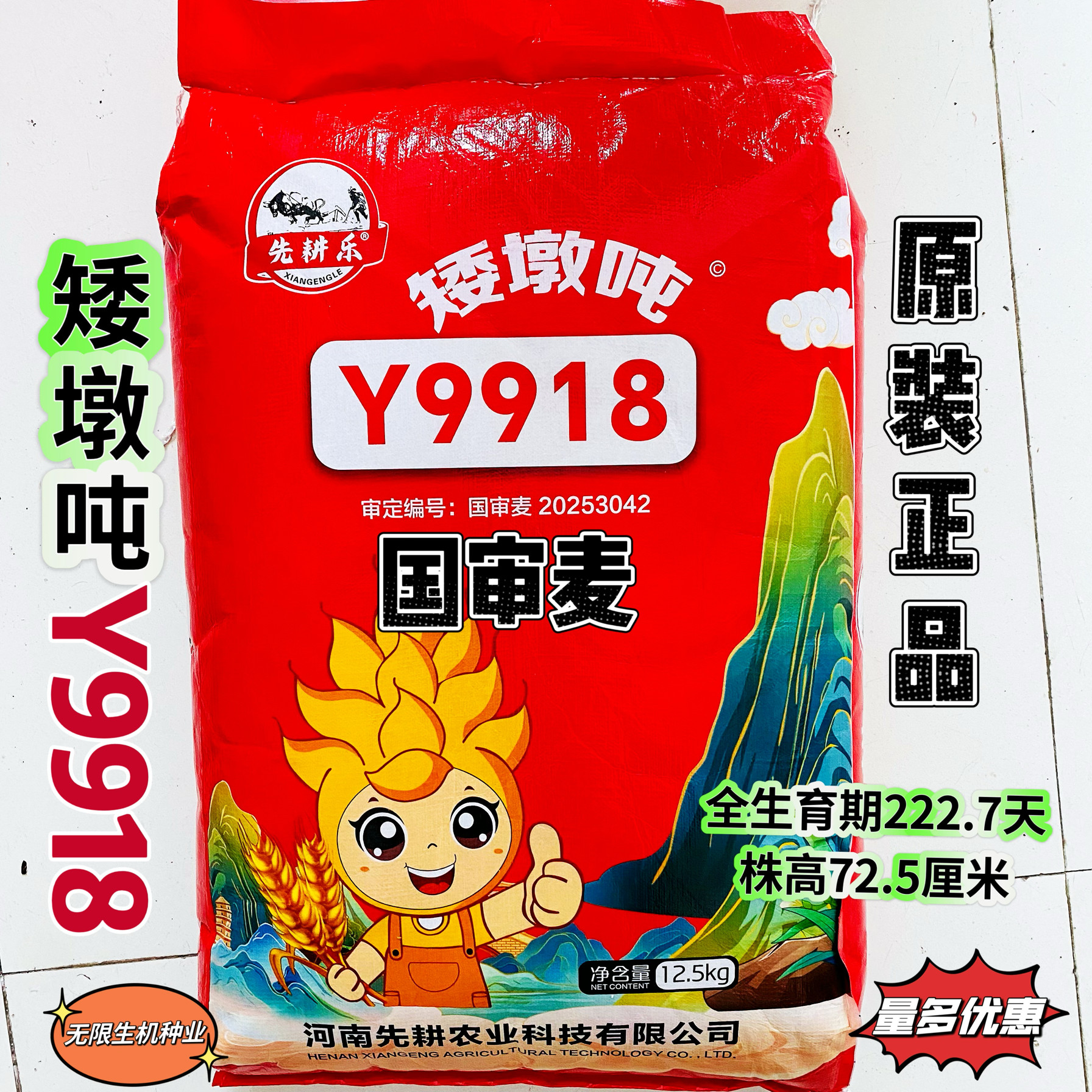正品矮墩吨Y9918小麦种子矮杆抗倒伏高产抗病国审小麦种原装正品