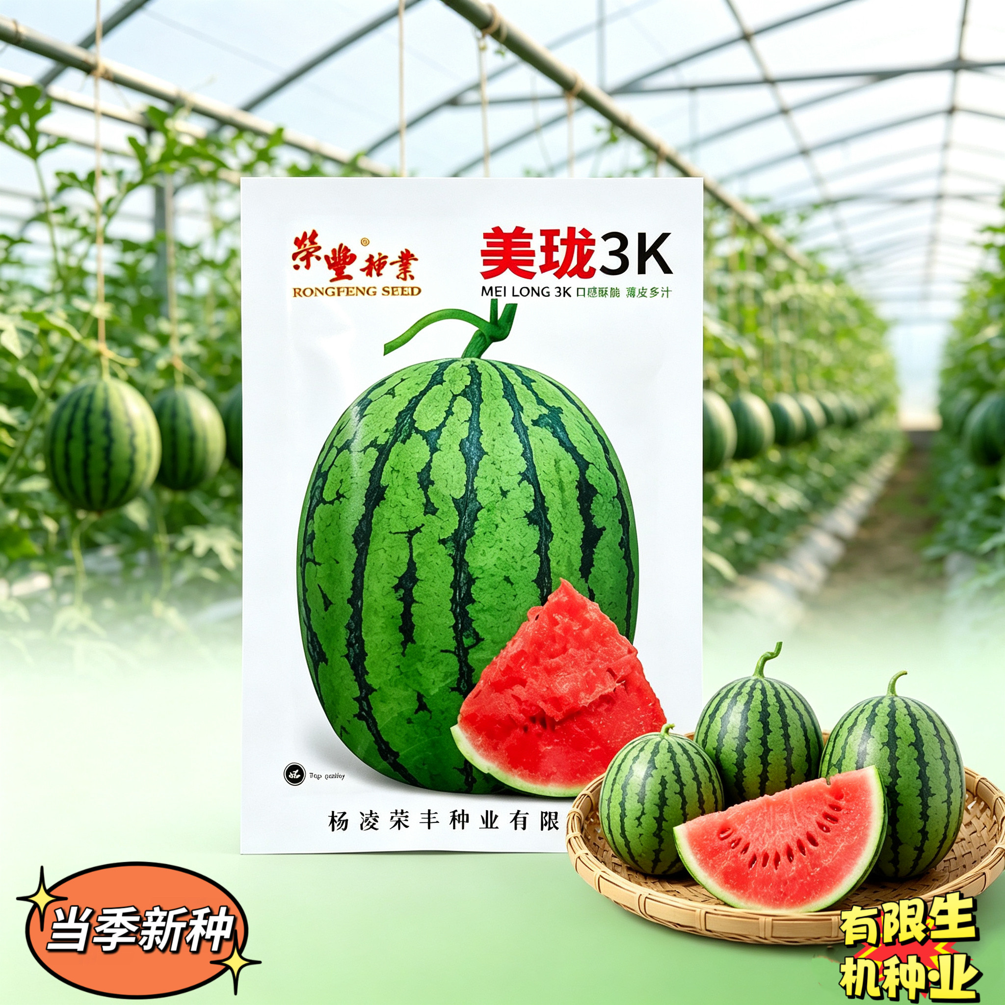 美珑3K西瓜种子早熟薄皮礼品西瓜种子皮薄多汁口感好西瓜种籽正品