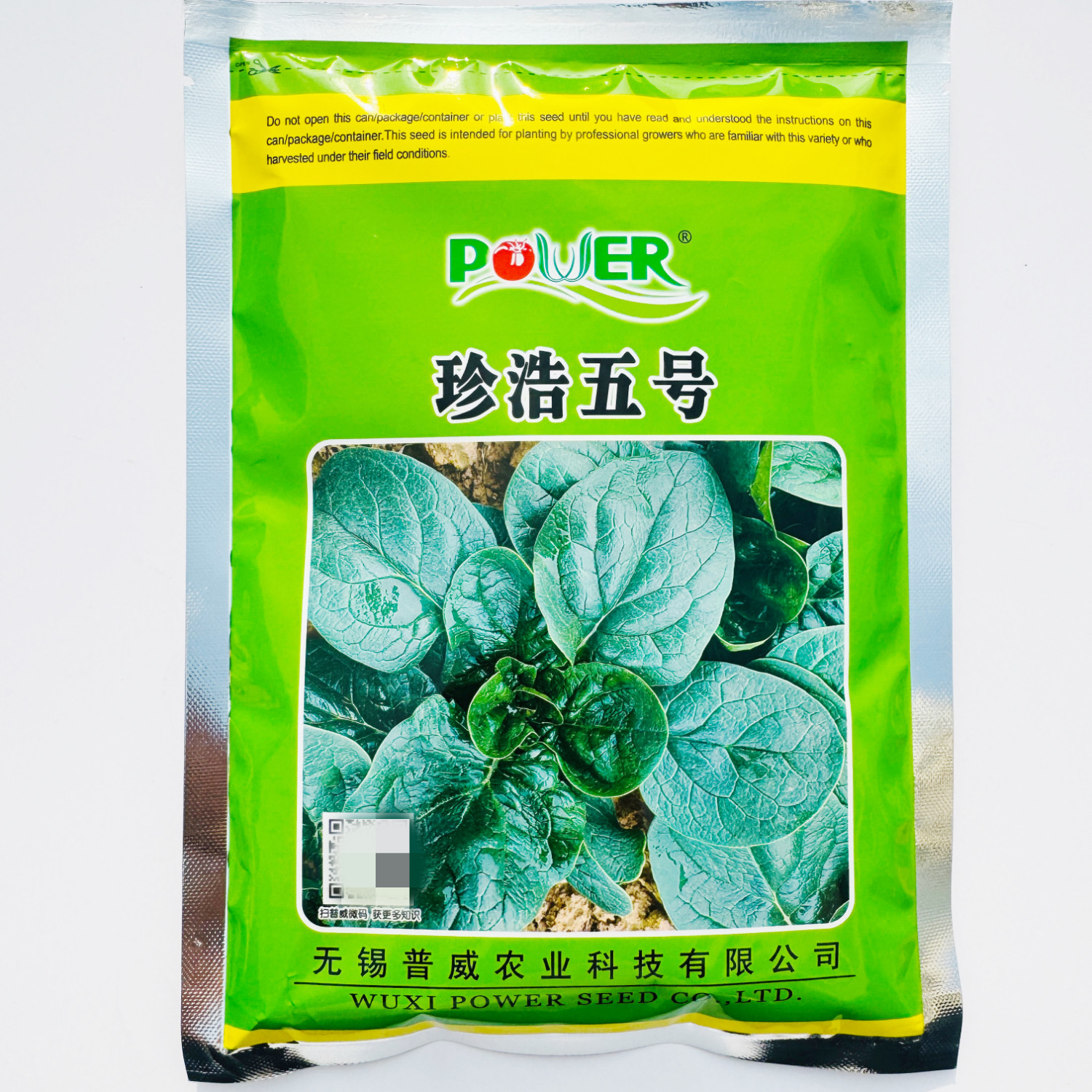 珍浩五号菠菜种子叶色深绿叶片肥厚趴地菠菜种籽耐寒春秋菠菜种孑