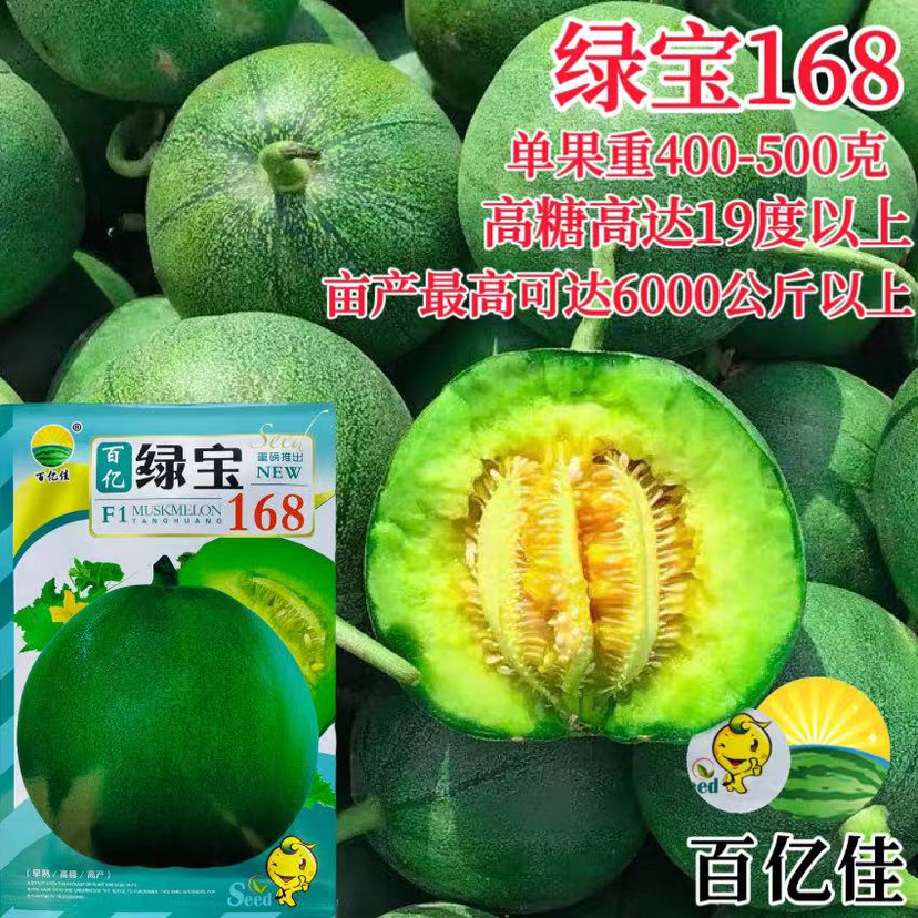 超甜绿宝168甜瓜种子正品冰翡翠香瓜种籽苗子种春季四季水果种孑