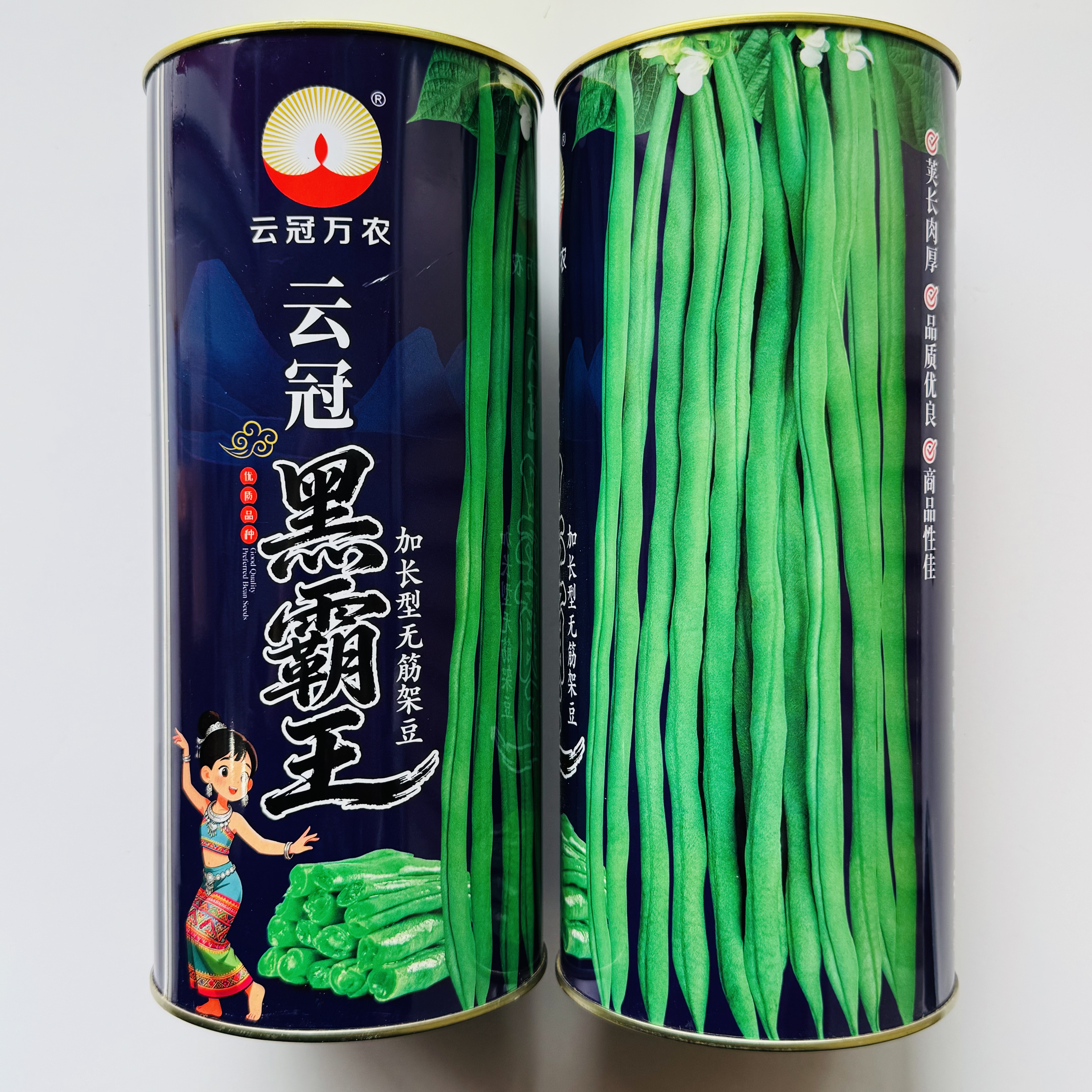 云冠黑霸王加长型无筋架豆种子高产抗病南北方春夏秋季播菜豆角籽