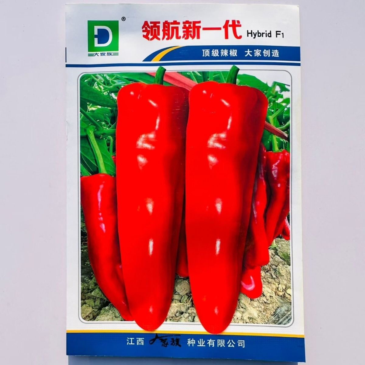 大家族红辣椒种子领航新一代辣椒种籽高产大果红果专用牛角椒种子