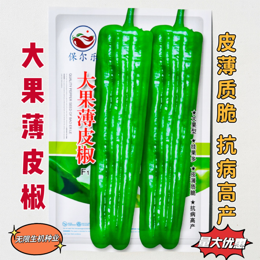 大果型薄皮椒种子早熟抗病高产新品种辣椒籽皮薄味辣春夏秋泡椒种