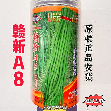 赣新A8豇豆种子厚肉条荚军绿色耐高温高长豆角种子特长春秋播豆角