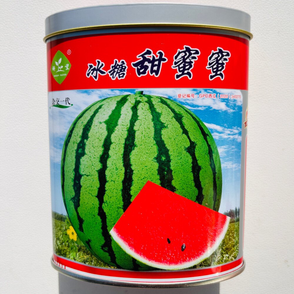科望 冰糖甜蜜蜜西瓜种子籽早熟西瓜种籽春夏秋大棚基地种植正品
