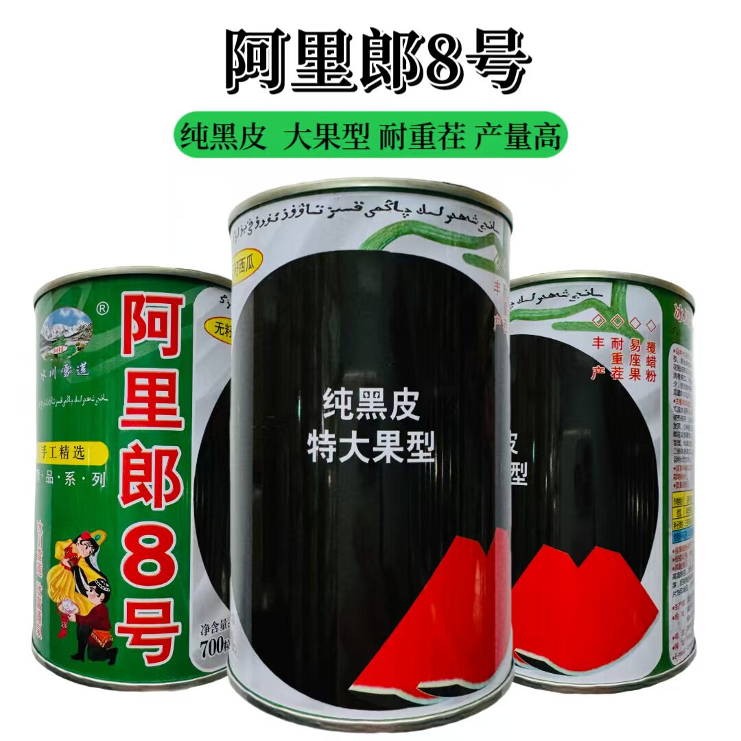 阿里朗8号西瓜种子黑皮黄瓤西瓜种籽大果型西瓜种籽高产抗病耐热