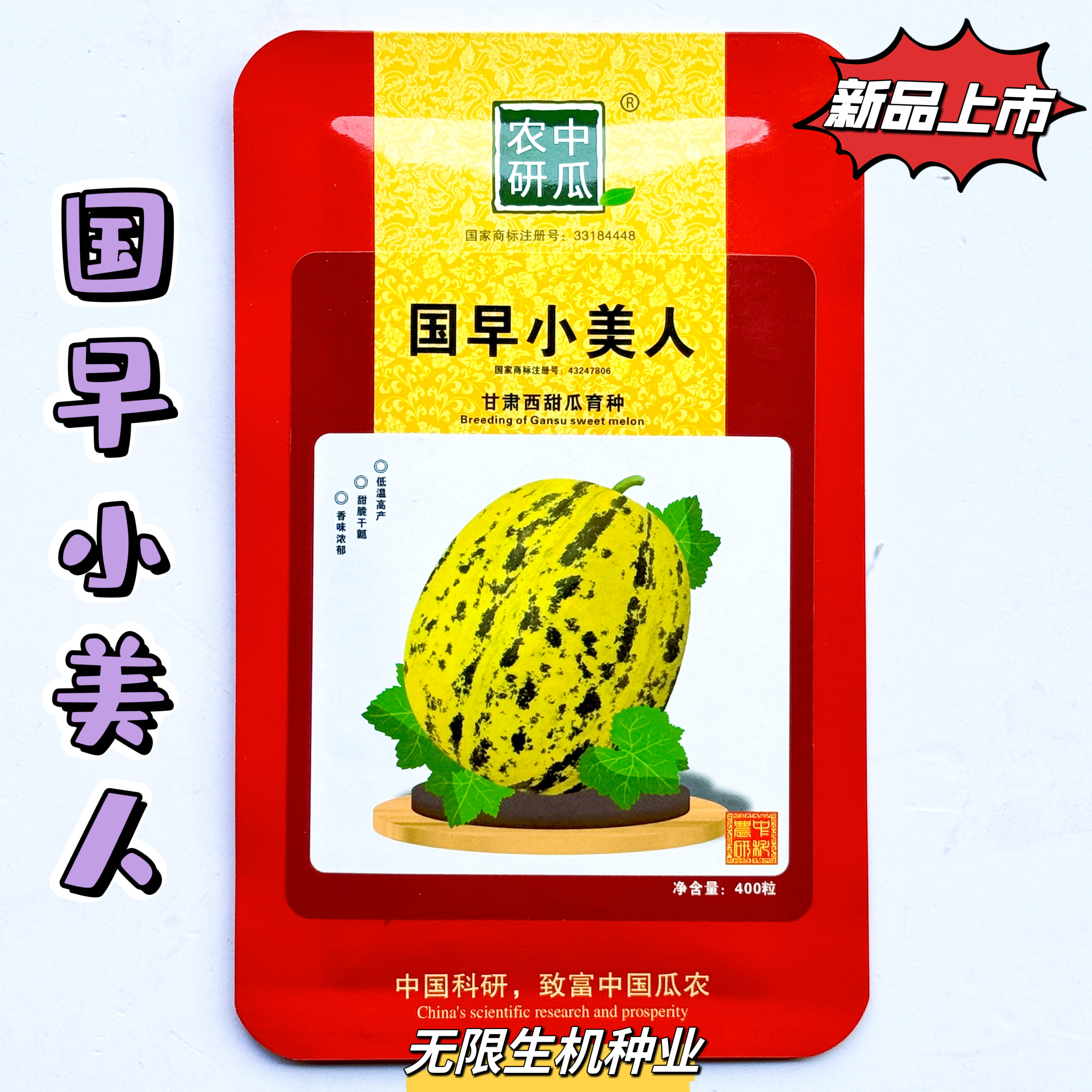 国早小美人甜瓜种子香瓜种子高产抗病耐裂超甜瓜种子大田基地种植