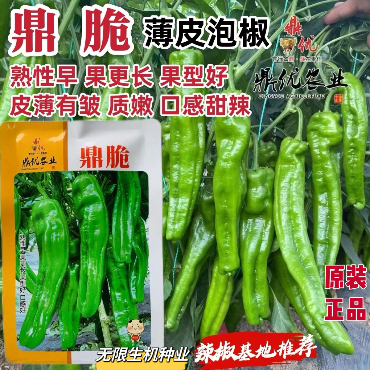 鼎优热销辣椒种子鼎脆薄皮椒种子大果顺直皮薄有皱泡椒种籽长果型