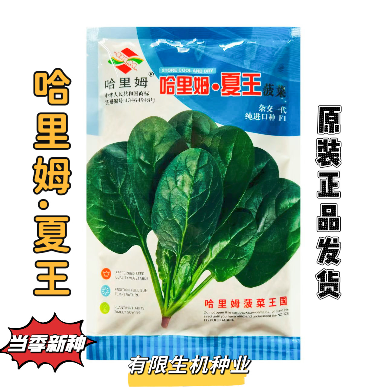 哈里姆 夏王菠菜种子纯进口菠菜种籽春夏耐热四季叶圆钝早熟种孑