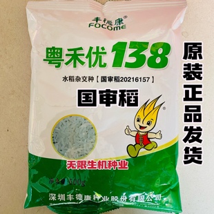 粤禾优138高产水稻种子籼稻种籽三系杂交稻种籽长粒水稻谷种正品