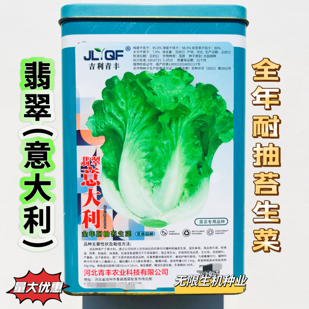 翡翠意大利生菜种子全年耐抽苔生菜种籽甜脆生菜生吃水培四季盆栽