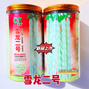 雪龙二号四季豆芸豆种子春秋季播早熟肉厚无筋白豆角架豆蔬菜种籽