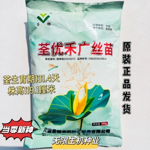 荃优禾广丝苗杂交水稻种子一季中稻高产抗病大田专用丰产原装正品