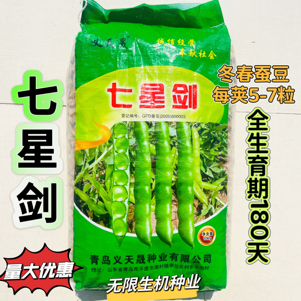 七星剑蚕豆种子大蚕豆种籽特大高产农家蔬菜籽本地蔬莱孑菜籽正品