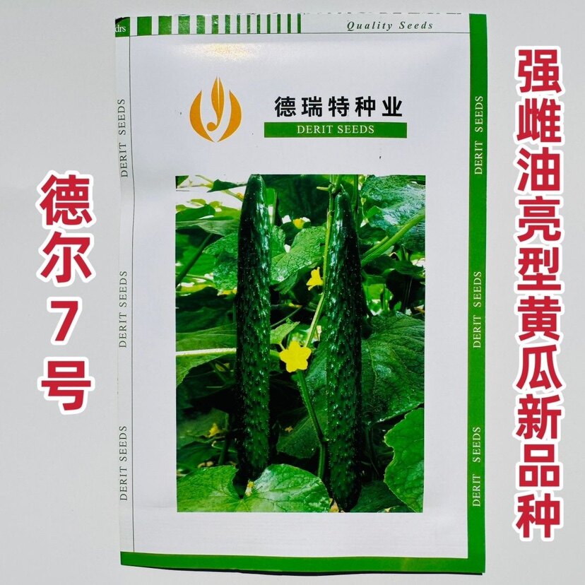 天津德瑞特黄瓜种子德尔7号黄瓜种籽强雌油亮密刺长黄瓜种籽春秋