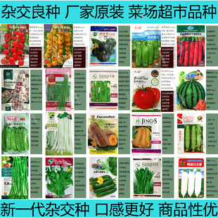 蔬菜种子大全杂交良种甜瓜西红柿南瓜茄子辣椒菜苔豆角玉米种籽孑