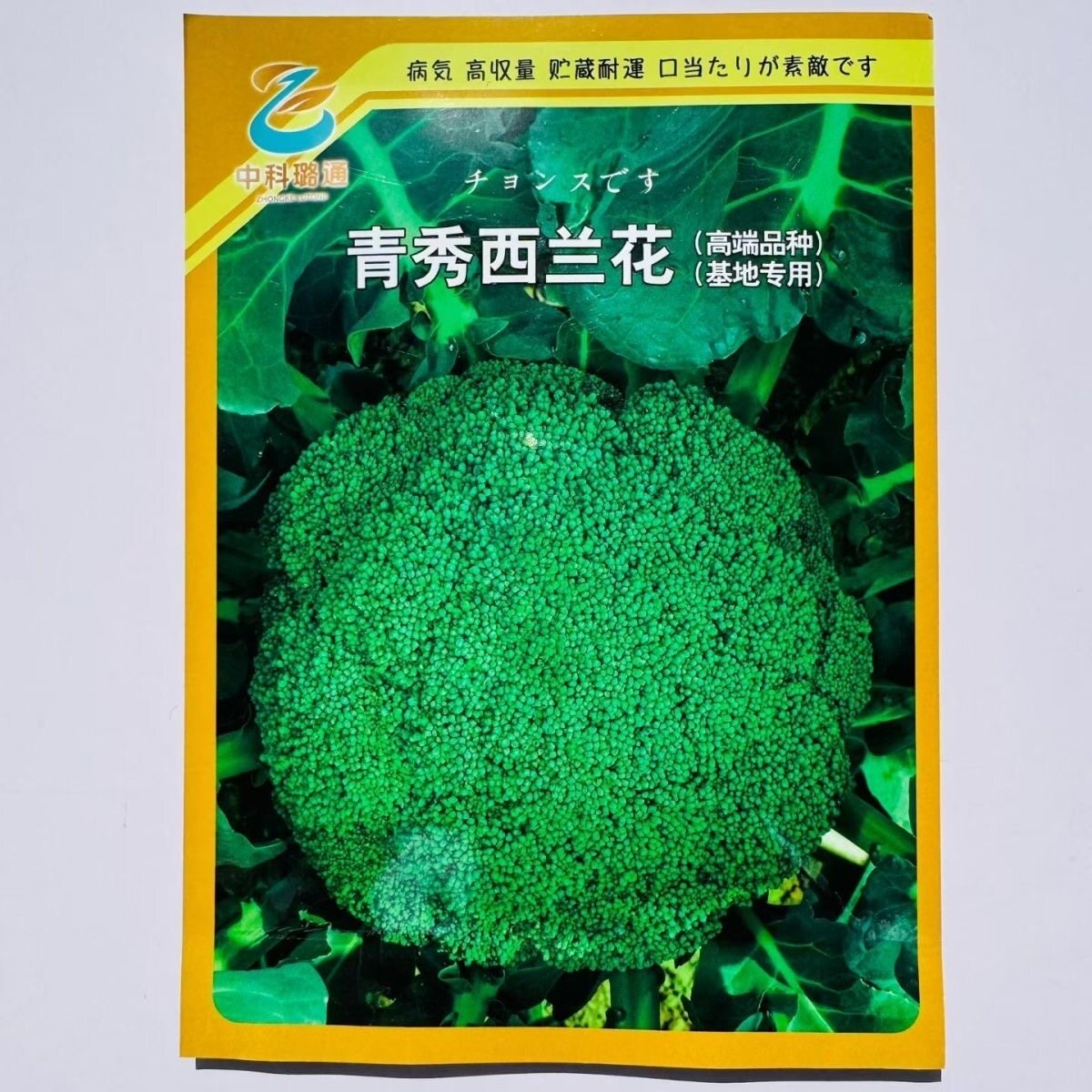 青秀西兰花种子基地专用高端杂交西兰花种籽蕾粒细嫩深绿色西蓝花