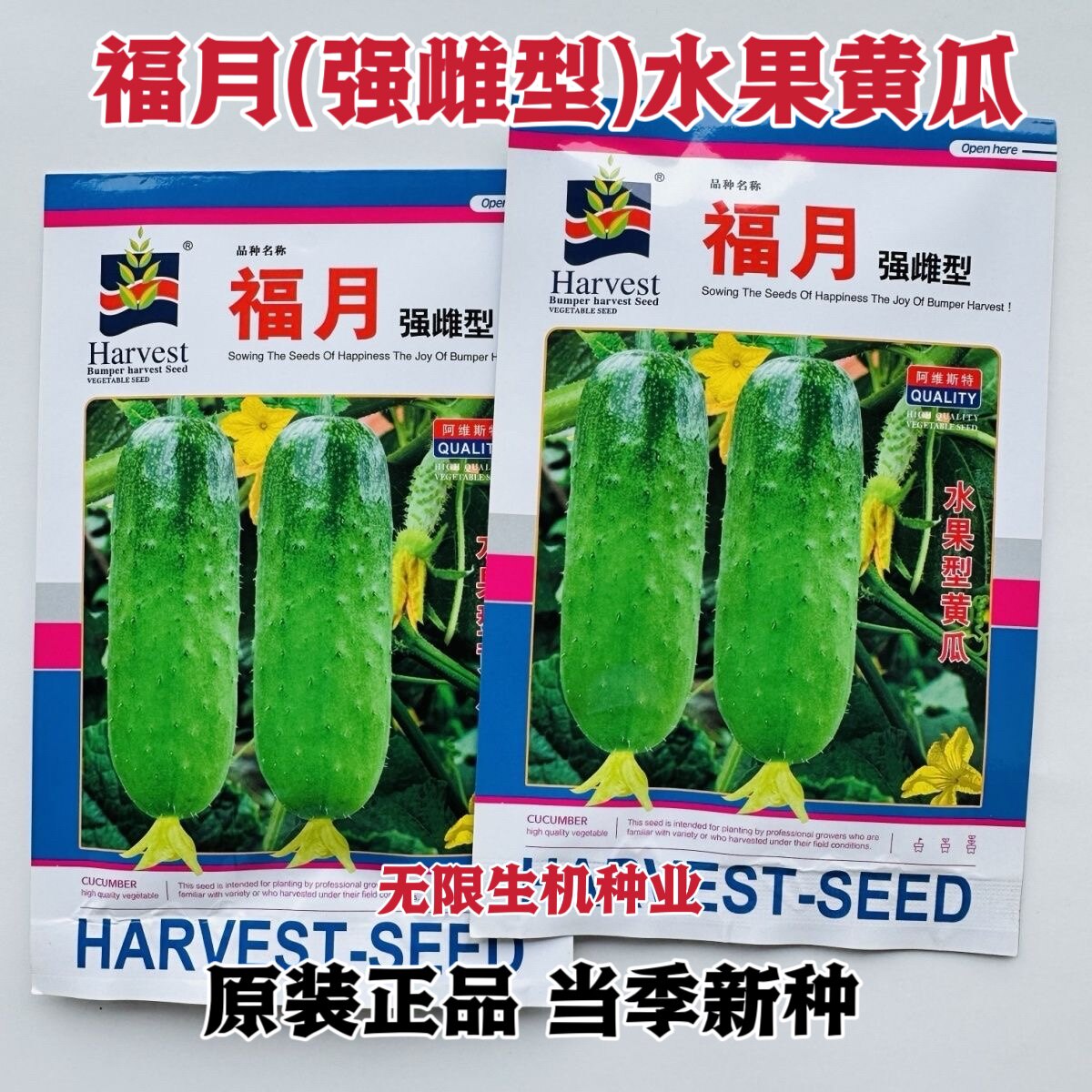 翠绿油亮水果黄瓜种蓟农福月黄瓜种子强雌型黄瓜种籽早熟高产甜脆
