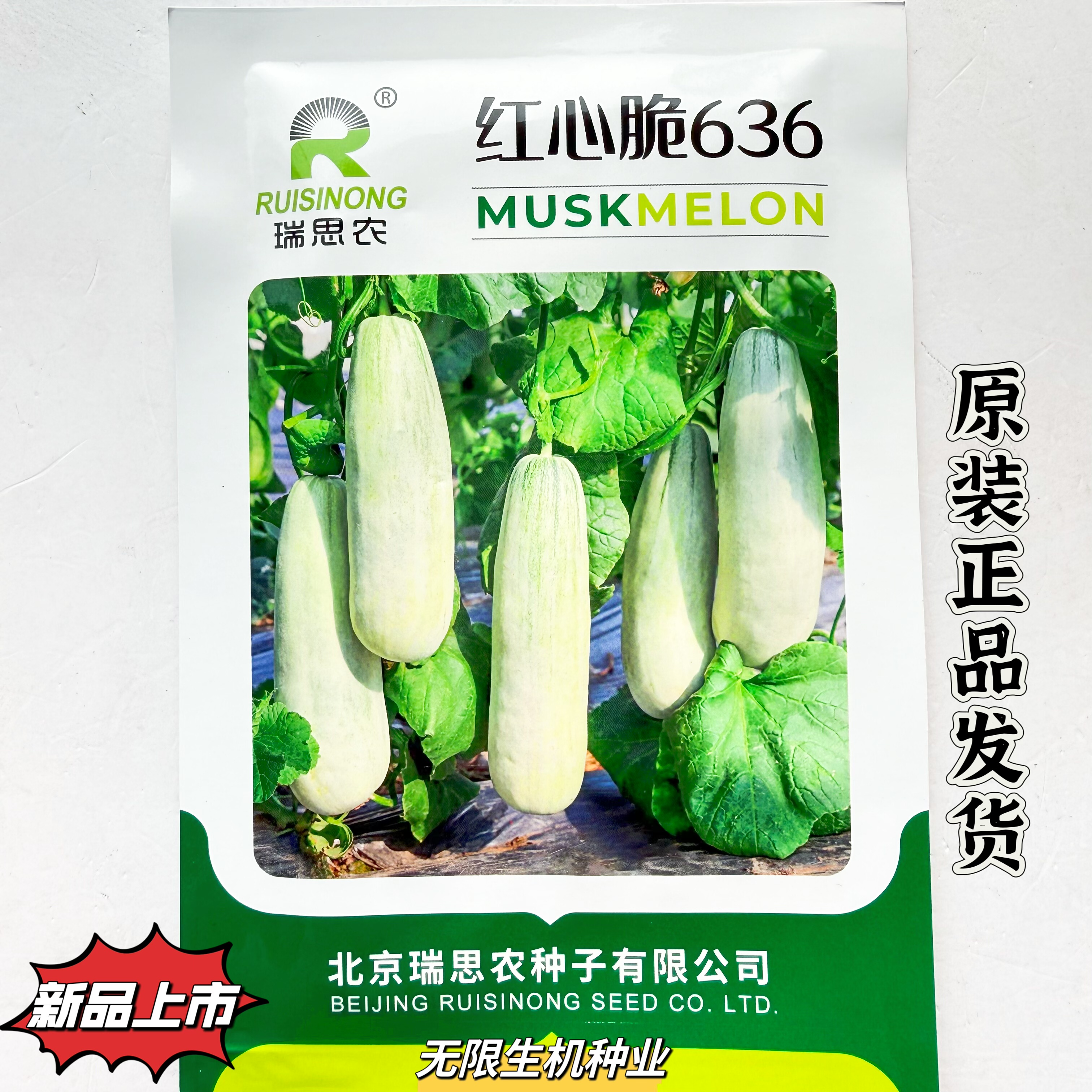 红心脆636甜瓜种子果皮灰白色果肉绿色橘红瓤脆甜多汁香瓜种孑籽