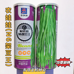 农娃娃N6架豆王豆角种子早熟高产架豆种籽春秋播农家蔬菜种孑正品