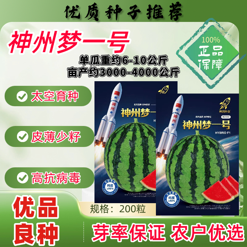 正品神舟梦一号西瓜种子高产抗病耐重茬耐裂耐高温高糖度西瓜种籽