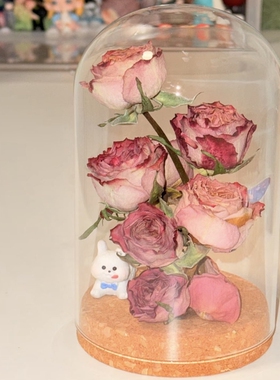 干花插花瓶收纳容器软木塞透明保存瓶情人节礼物摆件展示盒玻璃罩