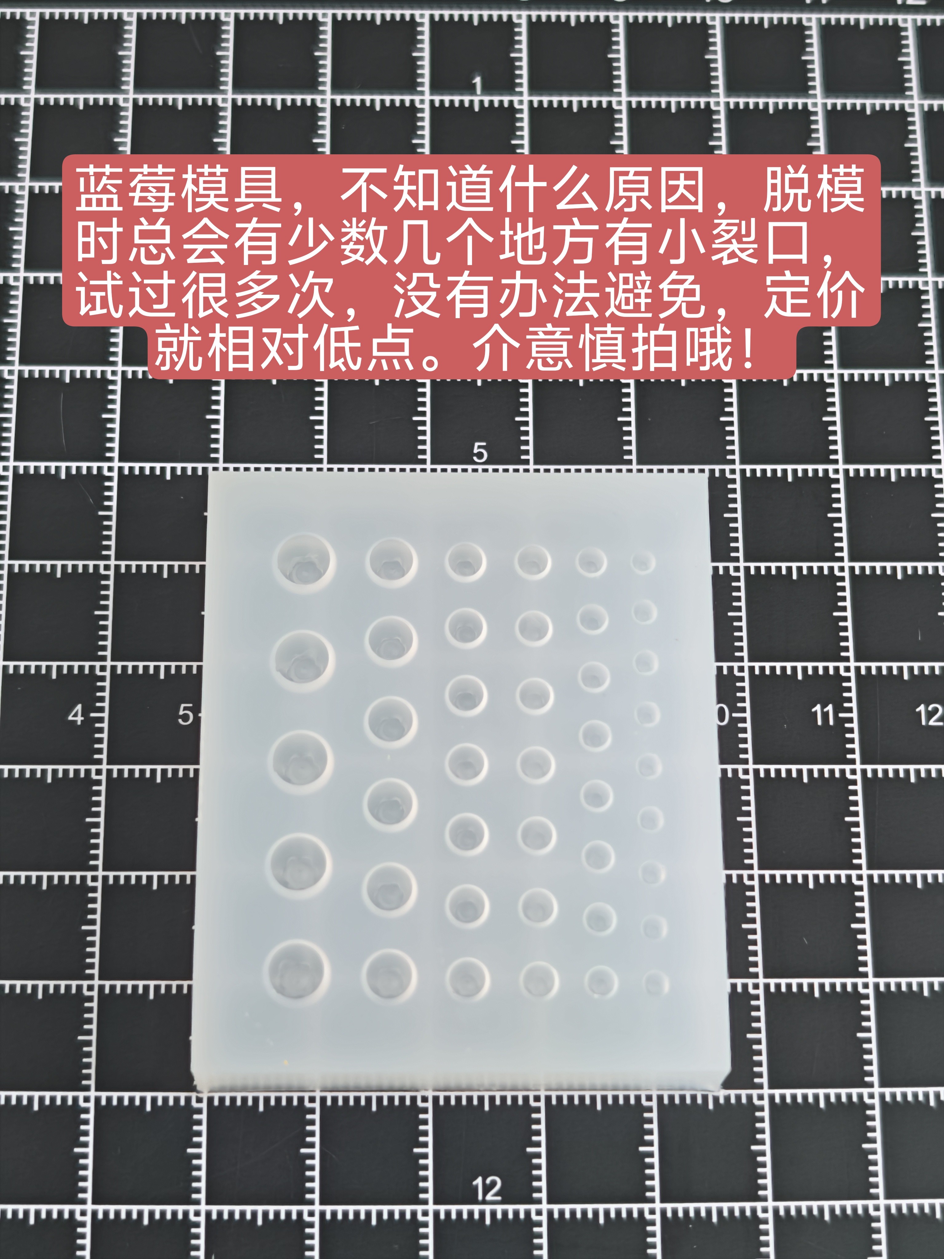 微缩食玩水果蓝莓模具食品级硅胶粘土软陶模具6/12分