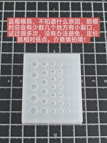 微缩食玩水果蓝莓模具食品级硅胶粘土软陶模具6/12分