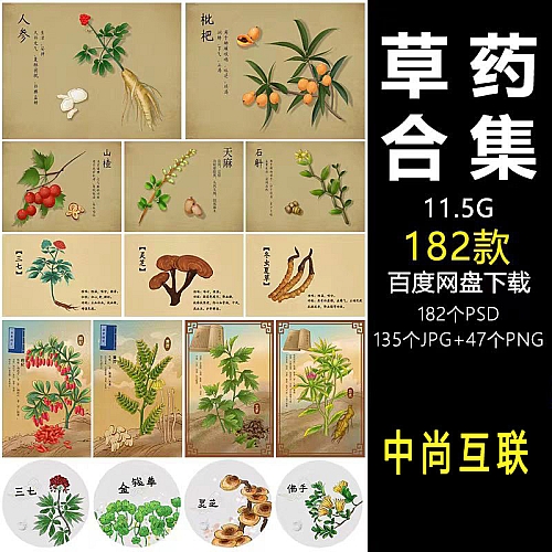 中国风复古记载中草药材植物花卉工笔画手绘本草插画素材图片