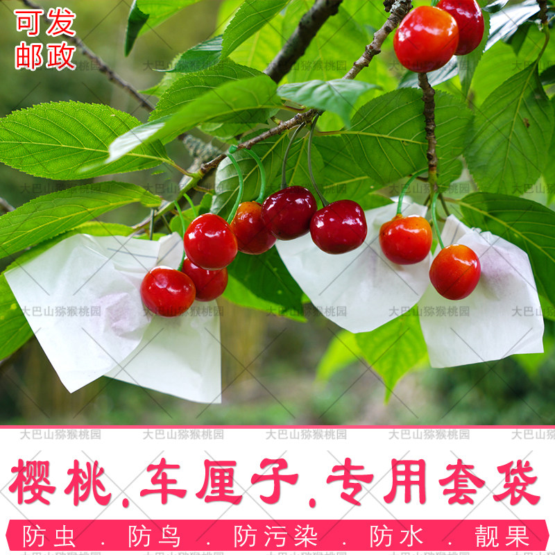 车厘子樱桃专用套袋樱珠草莓大樱桃树果袋小梨袋纸袋防虫防鸟防水