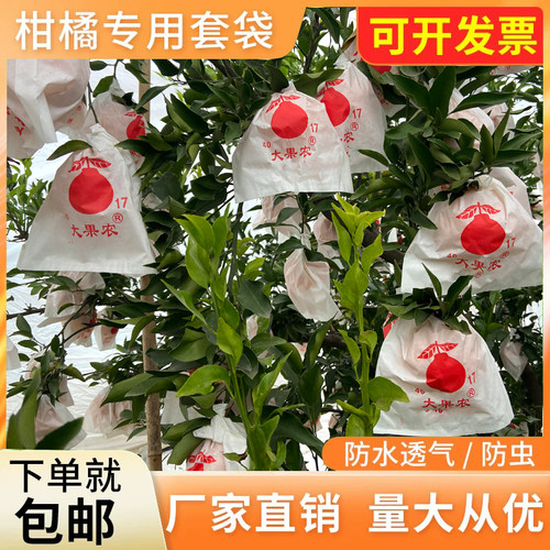 柑橘套袋橘子果袋丑橘橙子耙耙柑春见不知火26款脐橙石榴水果防虫