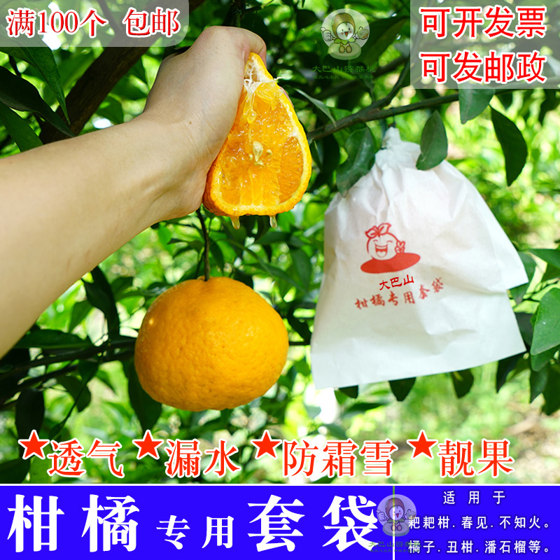 不知火丑橘育果袋柑橘专用纸袋红美人脐橙橙子防雨防虫防鸟保护袋